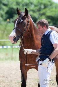 Meisterhof&#039;s Madeleine, RG Schau Bayern 2019, Foto: Andrea Wurm