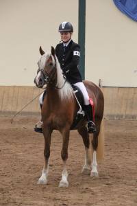 Mirielle, &Ouml;ZP Reitpferdechampion 2014