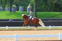 Mirielle, Dressur, S&uuml;ddeutsches Freizeitreiter Championat