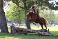 Mirielle, Gel&auml;nde, S&uuml;ddeutsches Freizeitreiter Championat